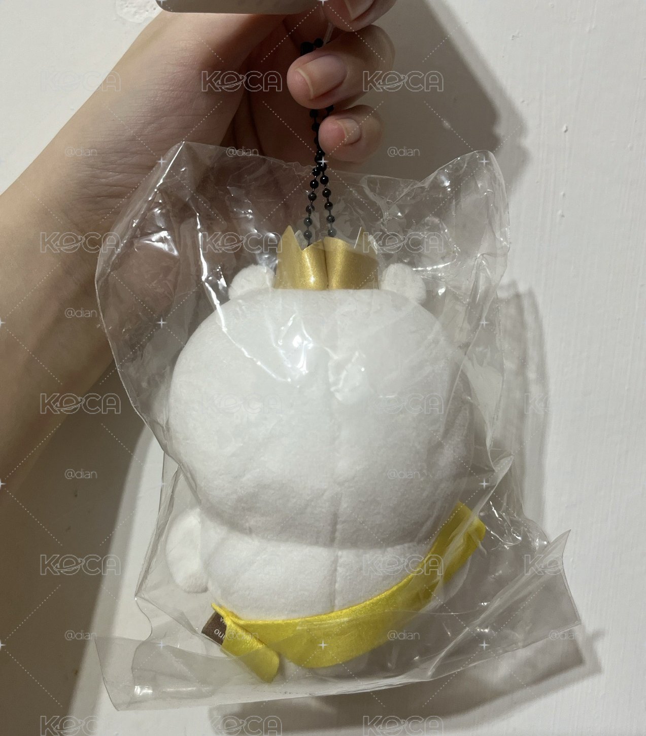 自嘲熊 ナガノ自信熊 