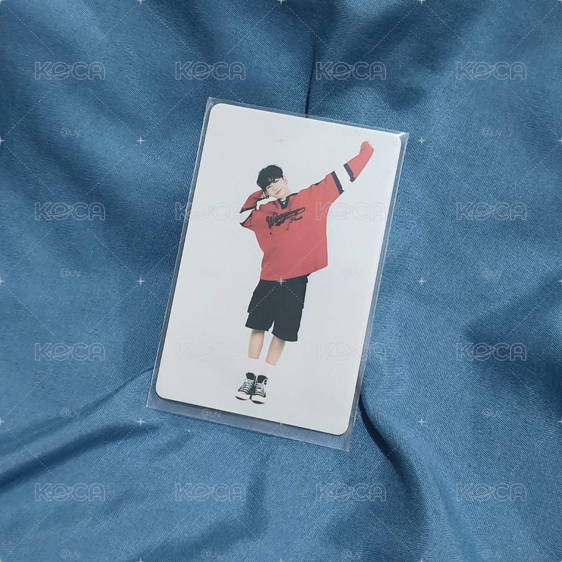 卡包卡_伸懶腰小狗