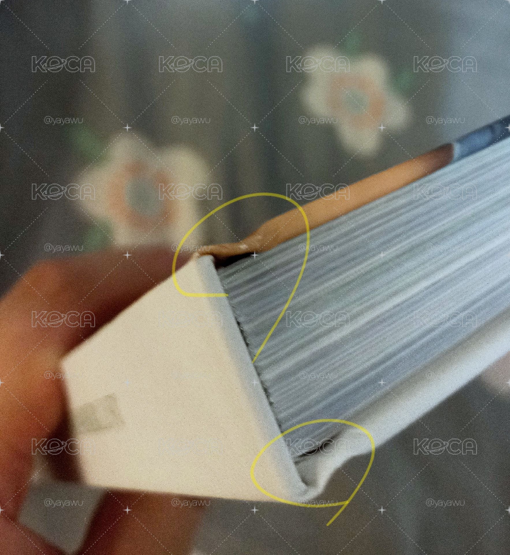 淨漢 濟州島寫真書（有特典/配置如圖）