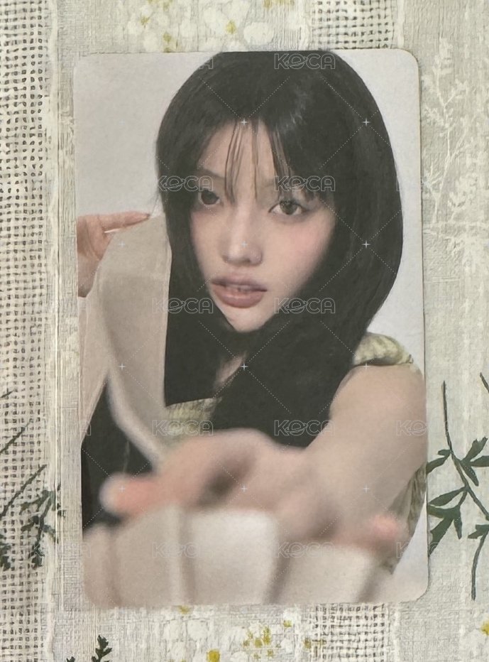 羽