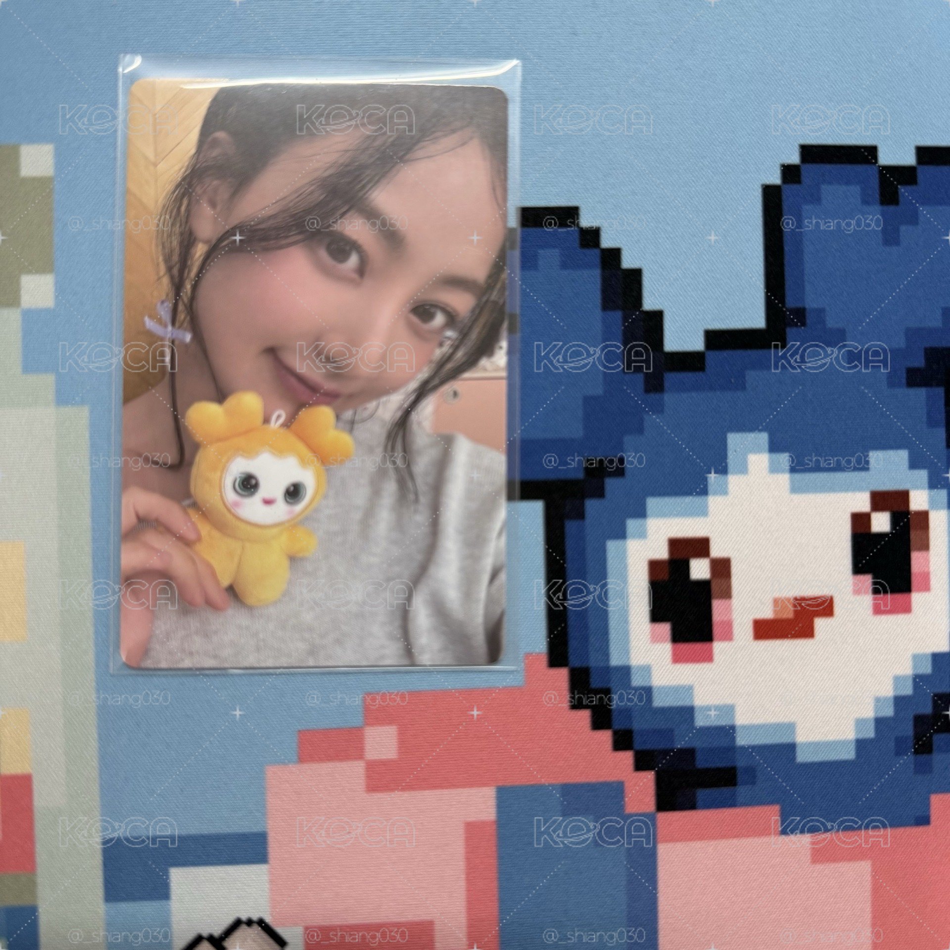 會員禮 小卡 志效