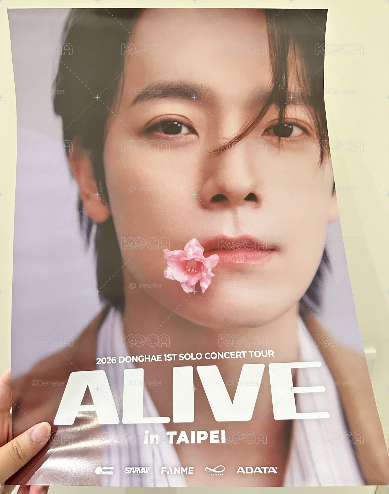 東海 ALIVE、東海岸海報