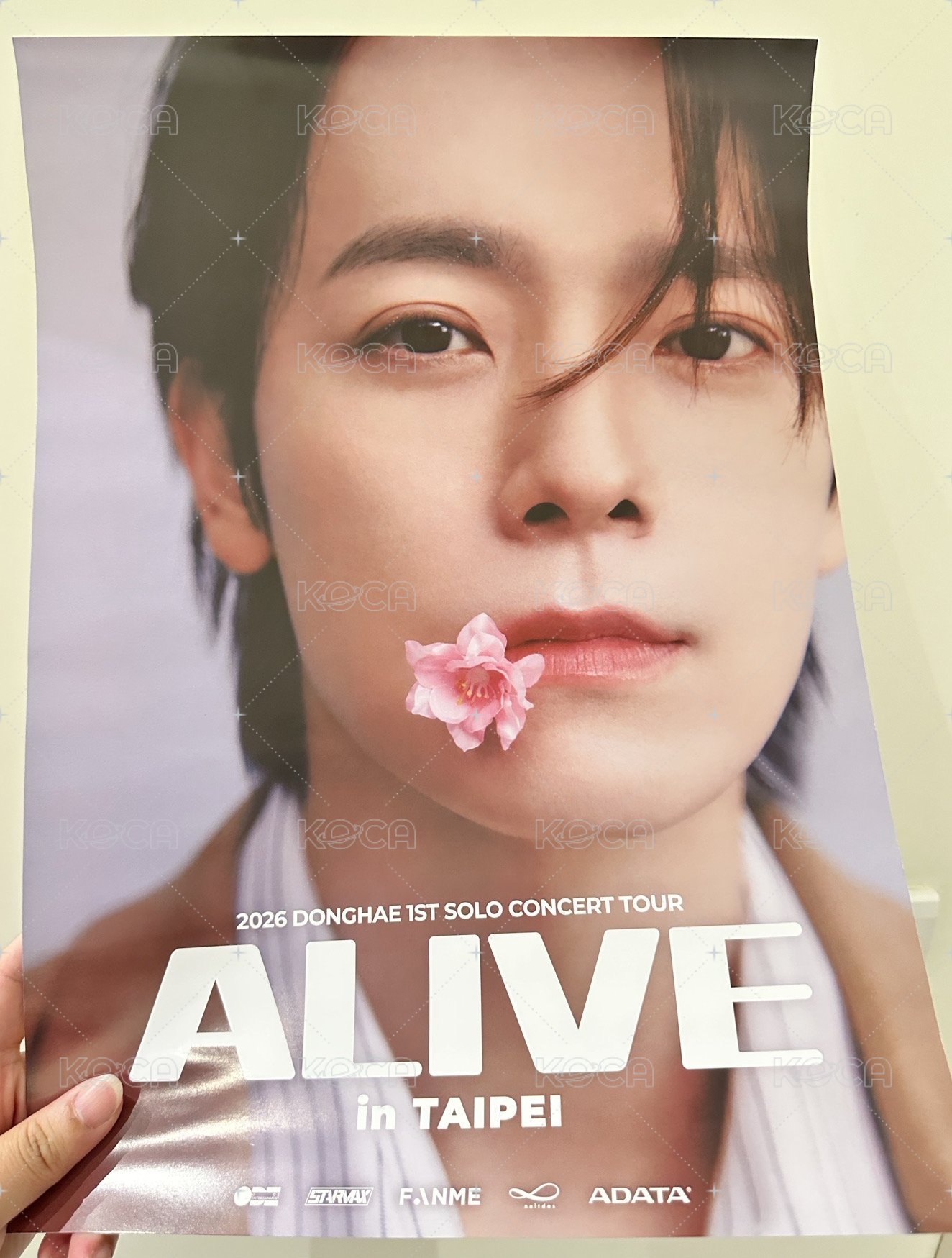 ALIVE台北