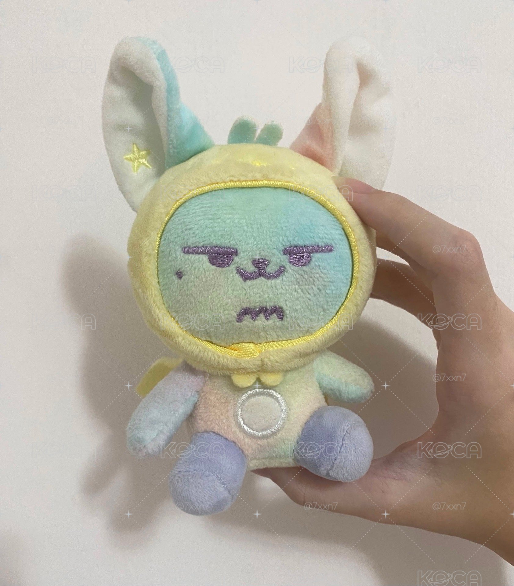 彩皮黃春