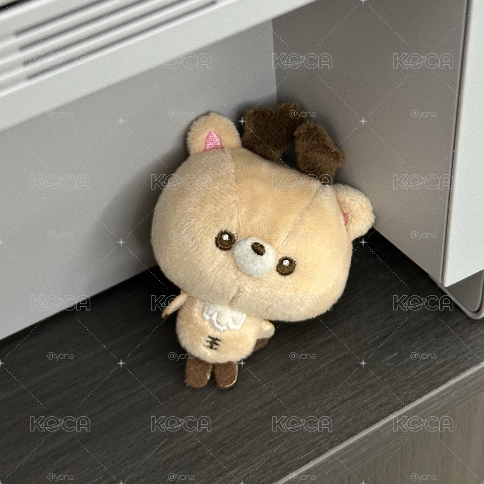 小芒烏拉鹿