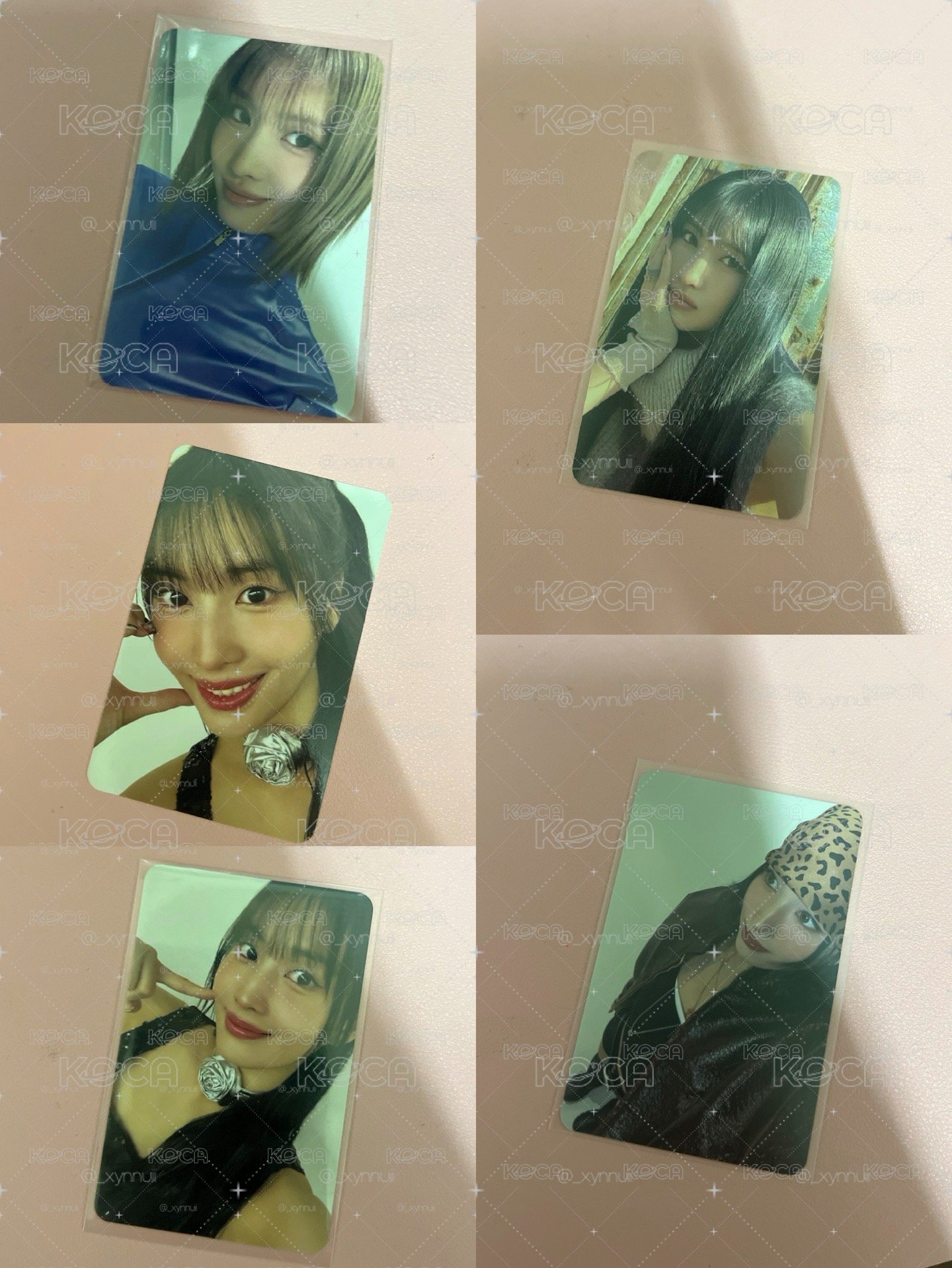 MOMO 整圖出
