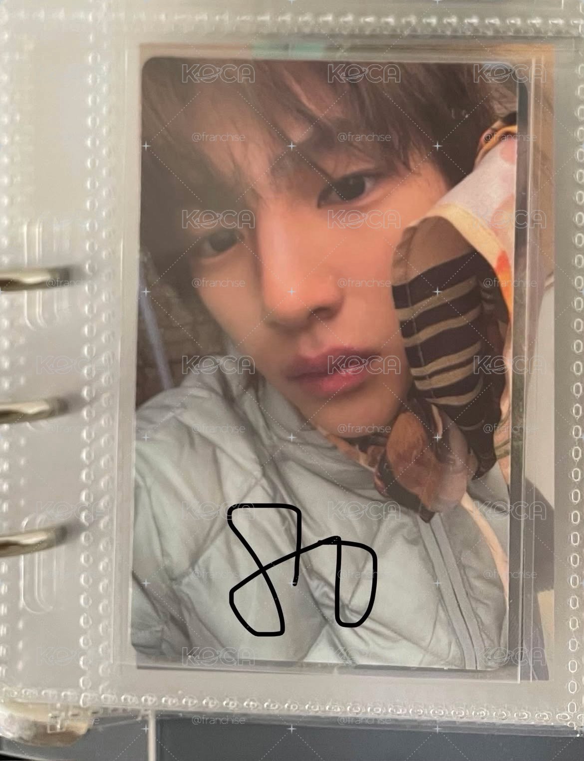 MJ🕸️&🐷