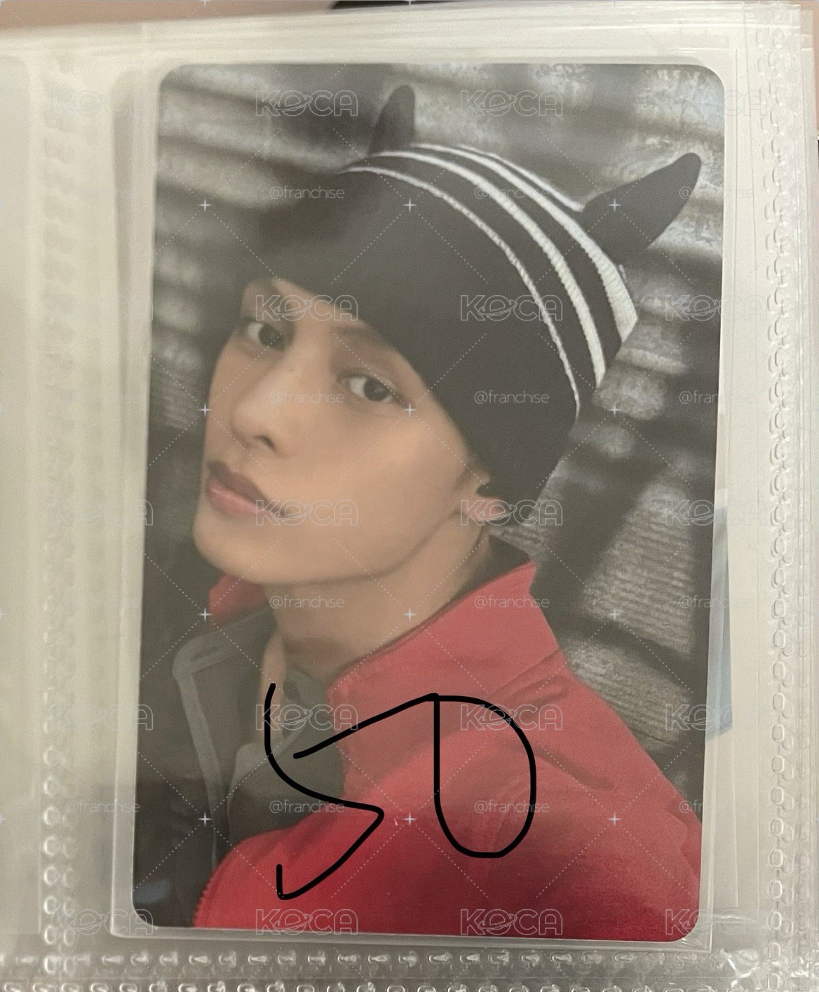 MJ🕸️&🐷