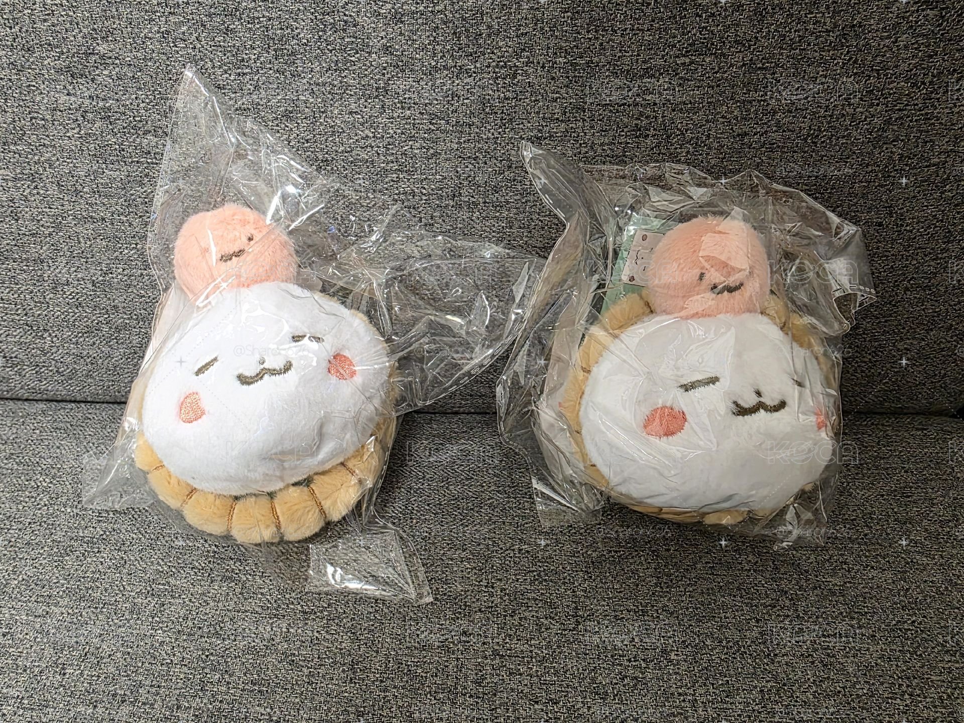 琦 26' 飯咪 吊娃 ATEEZ PLUSH 2026 ver.