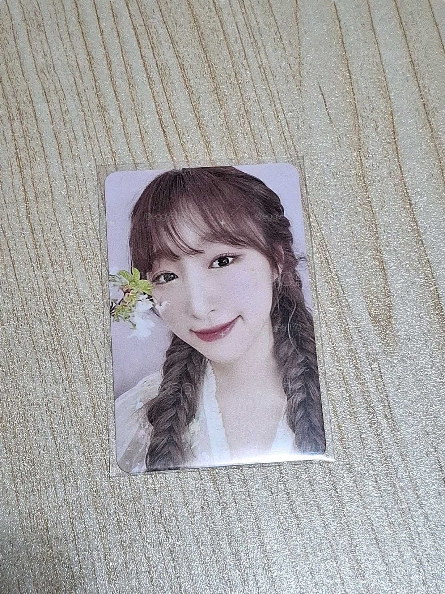 WJSN 
