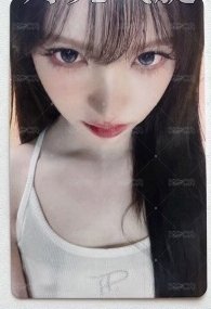 2星栗（多帶）