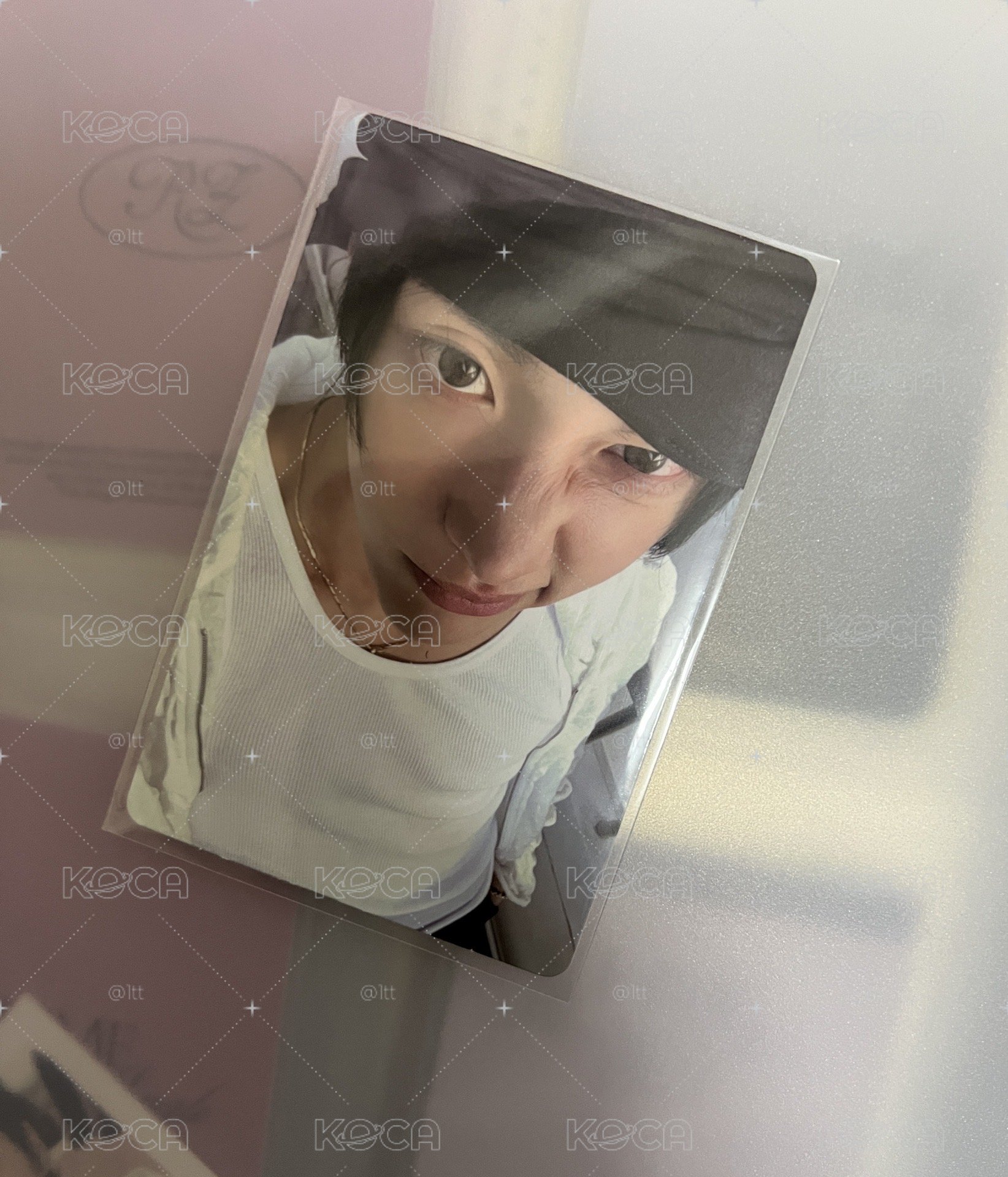 sm特典 皺鼻小貓