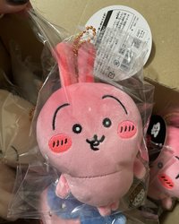 辣咖哩兔