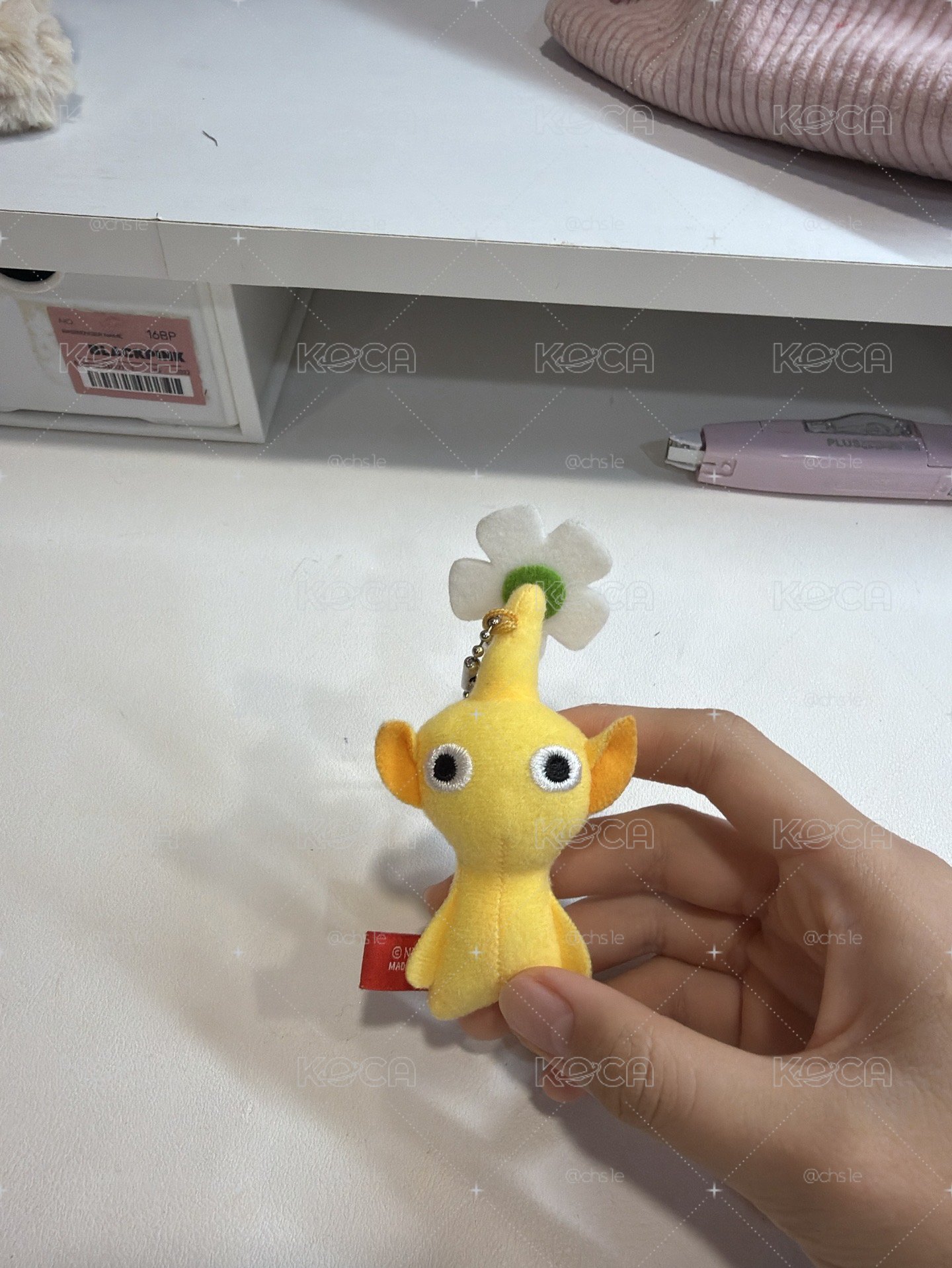 黃皮