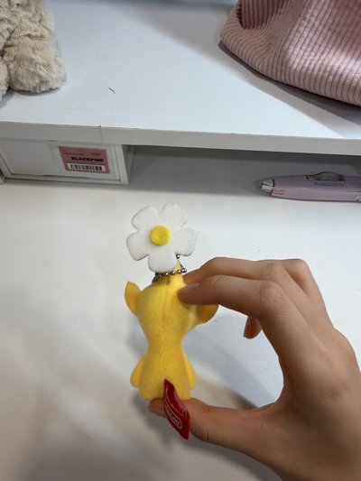 黃皮