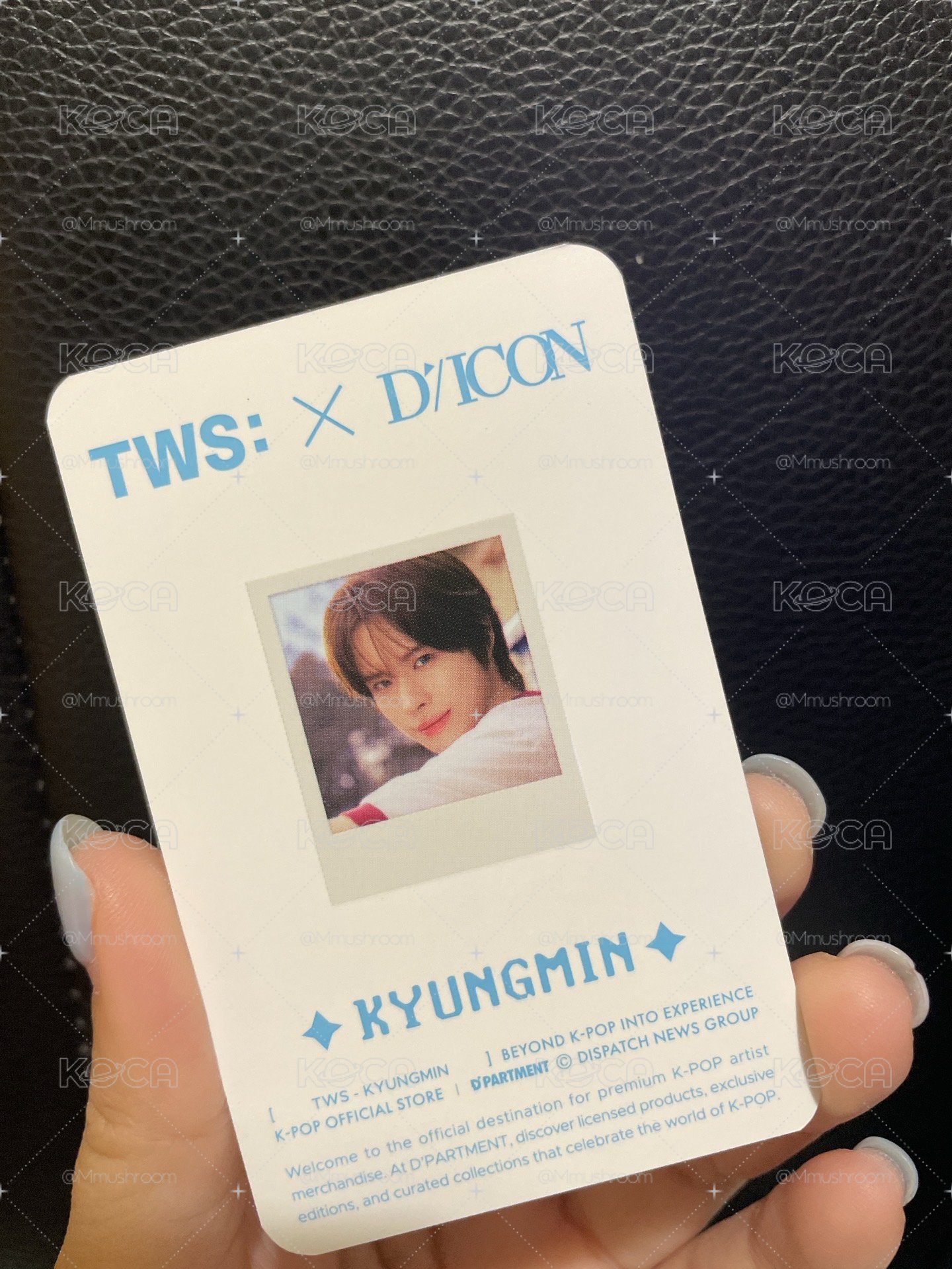 DICON 快閃店 隨機卡 