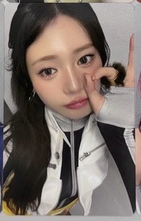 茶