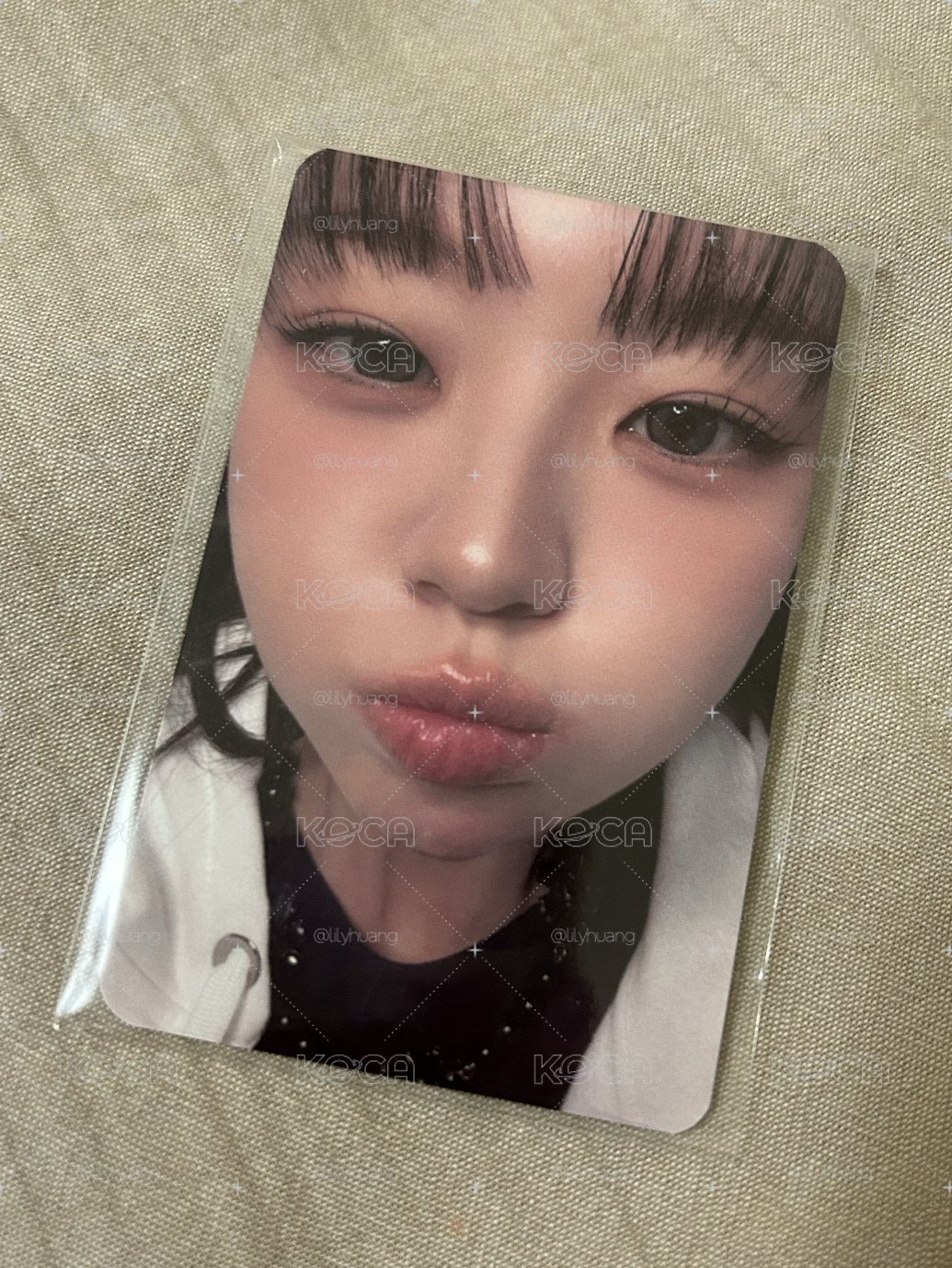 QWER 一巡安可 手燈裝飾卡 丹