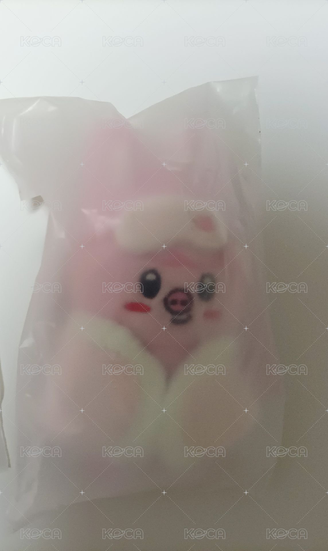 六期棉被娃