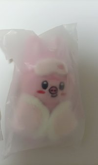 六期棉被娃