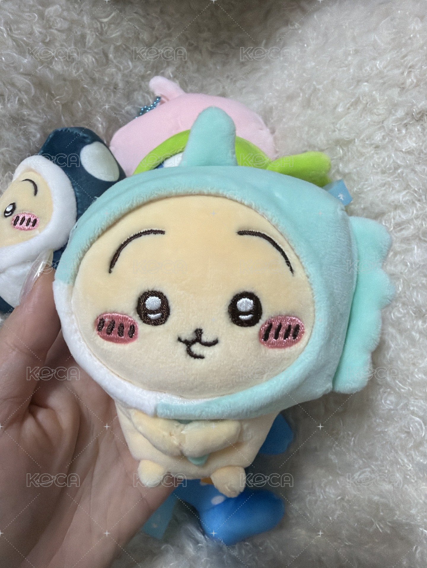 翻車魚兔