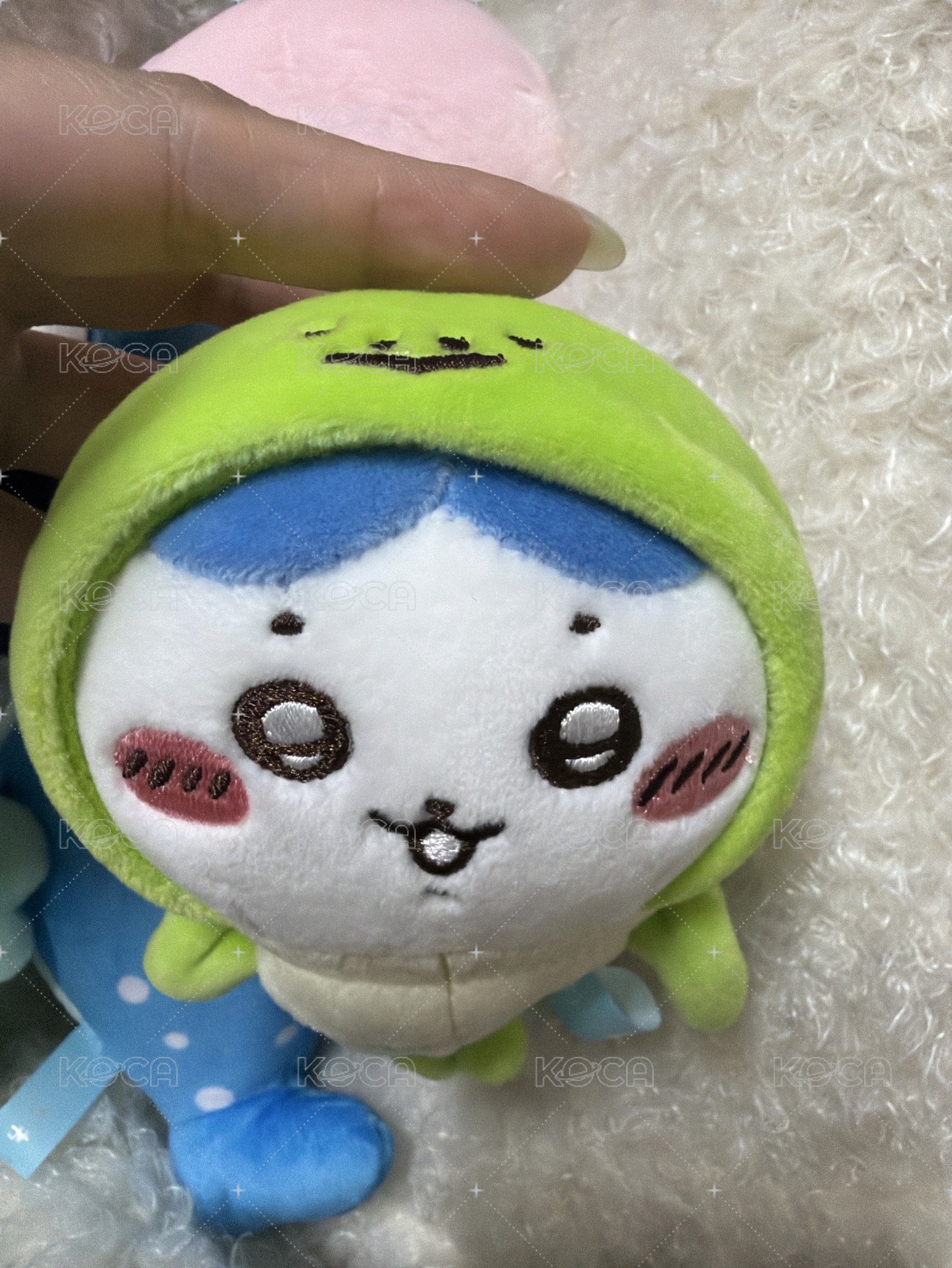 海龜小八