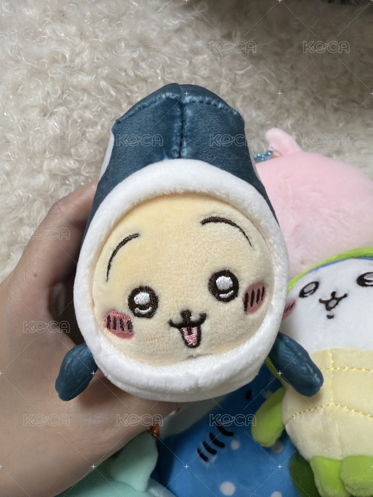 虎鯨兔