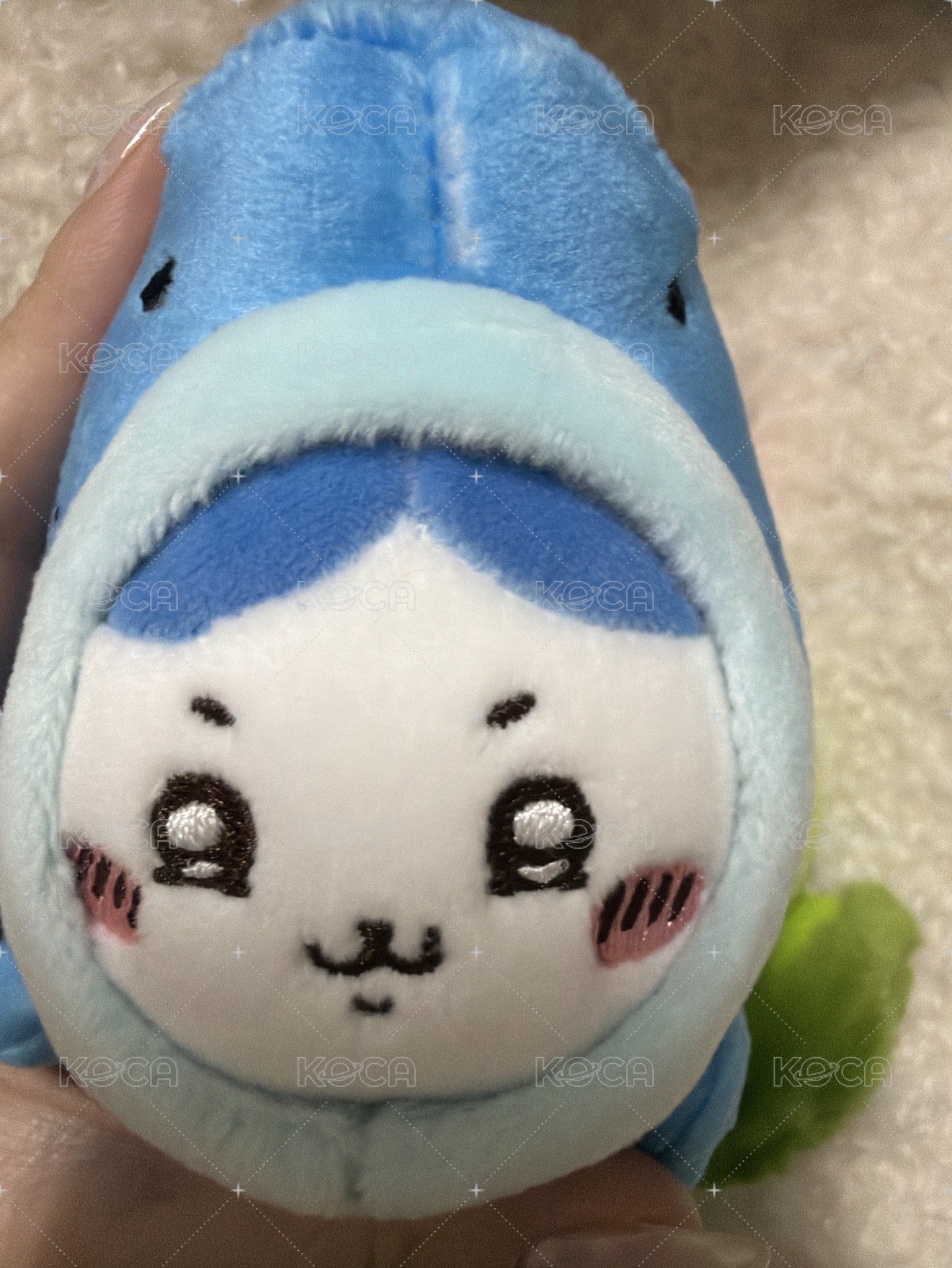 鯨鯊小八