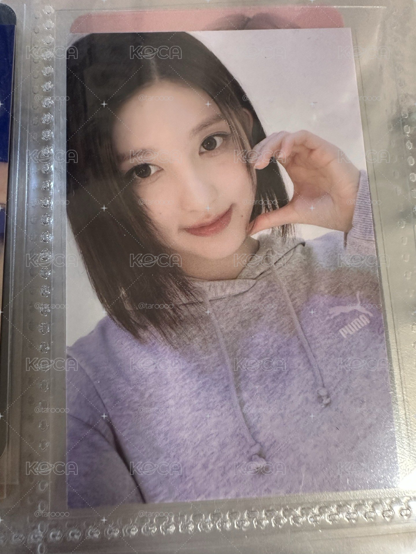 秋小卡