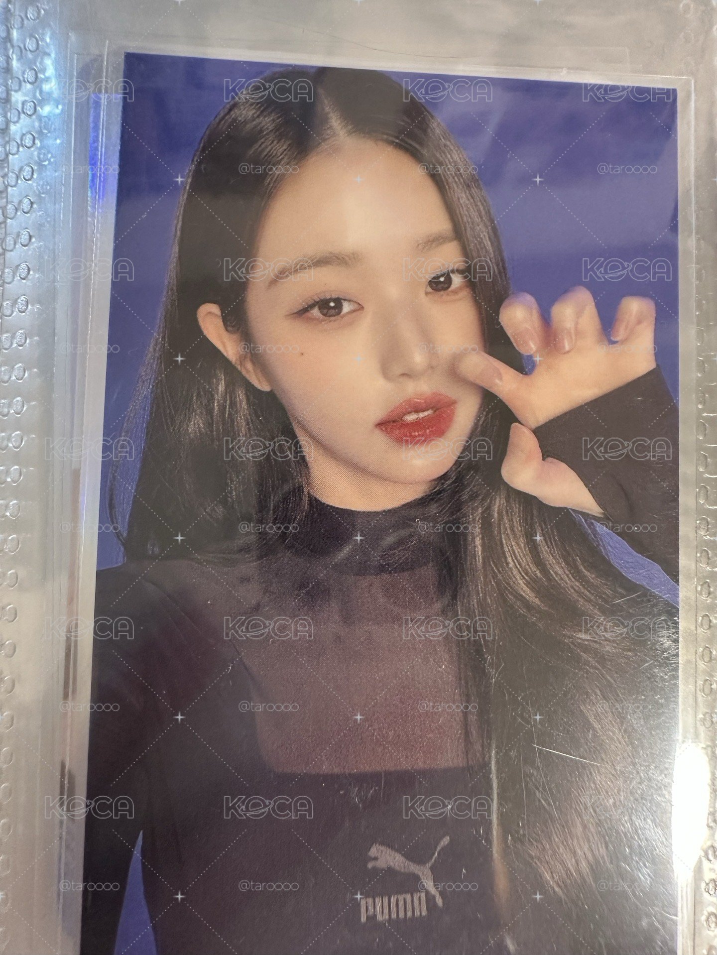 元英小卡