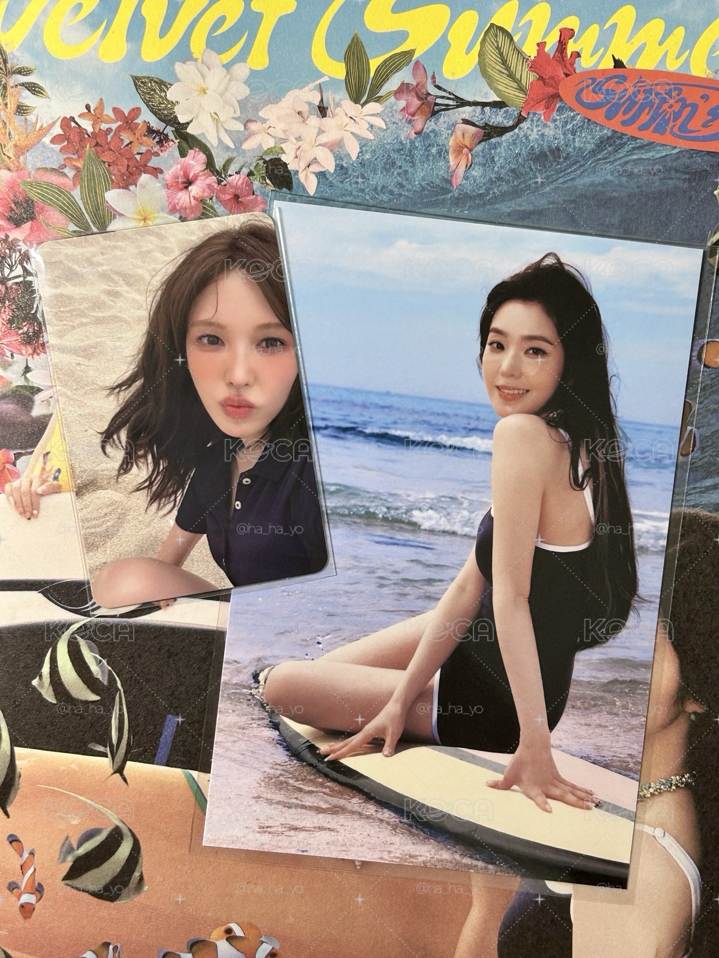 Red Velvet｜Velvet Summer 🐰🐿️