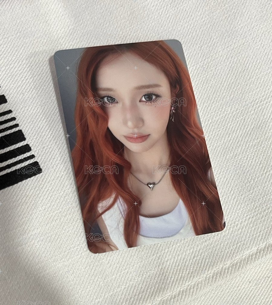 🐰1