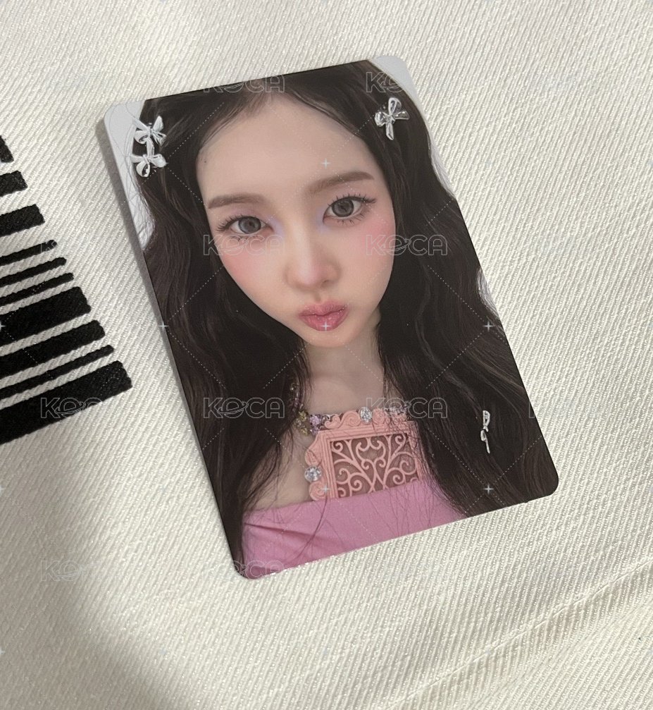 🐩7
