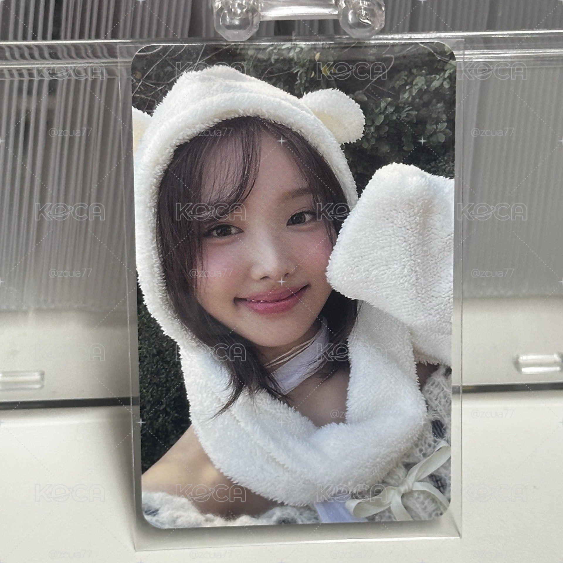 白帽🐰