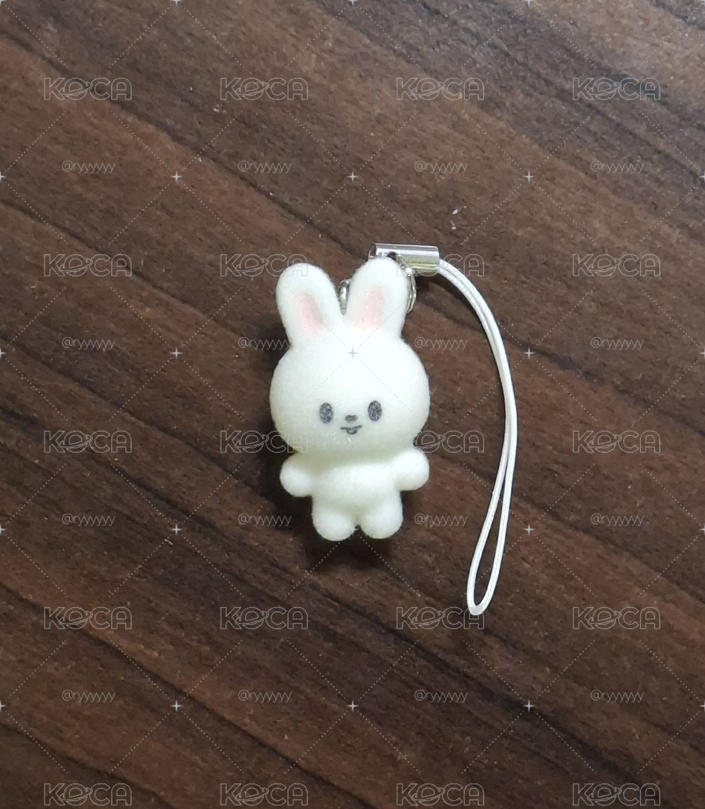 六期飯咪 植絨李畢