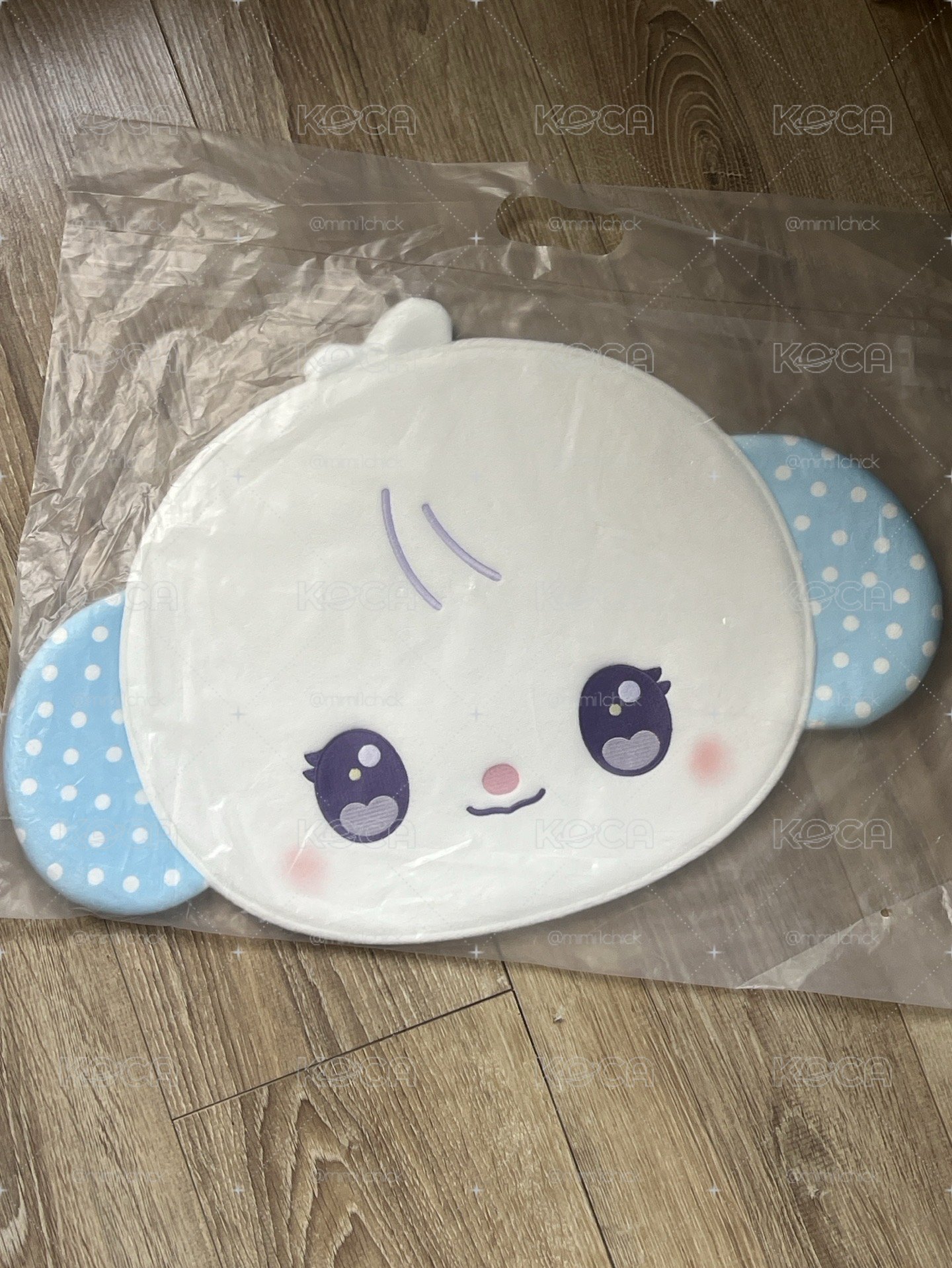 金智友扇套