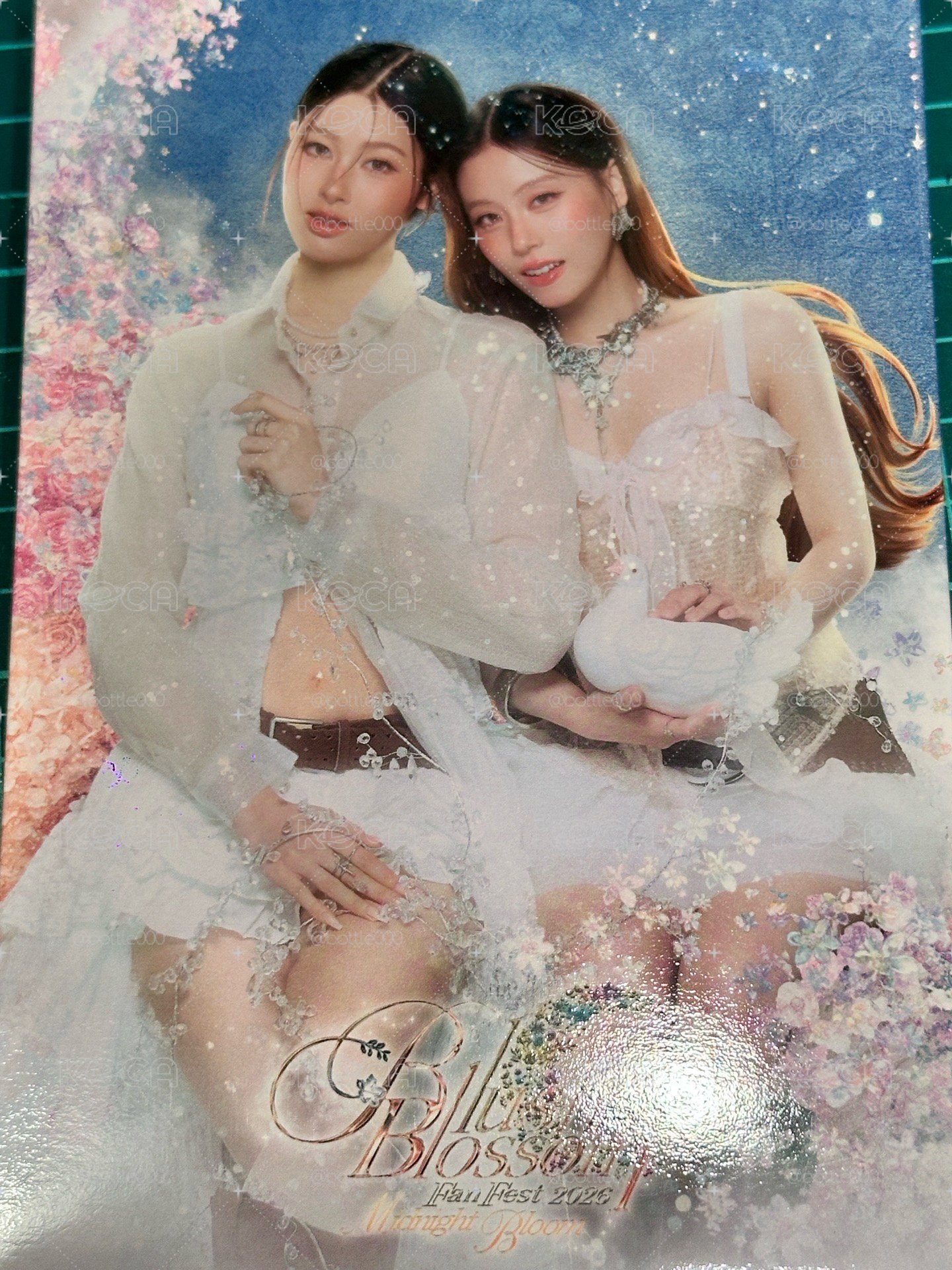 2026BBFF PahnFond照片組