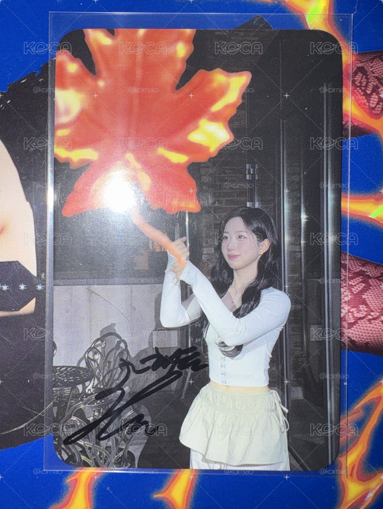 嫄 楓葉簽卡