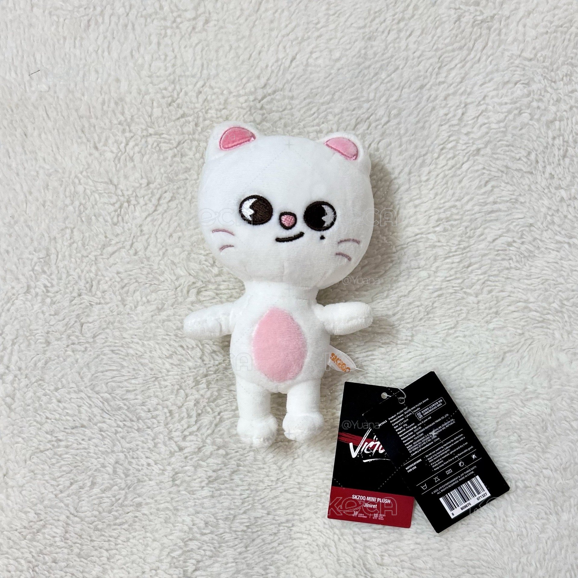 辰小娃