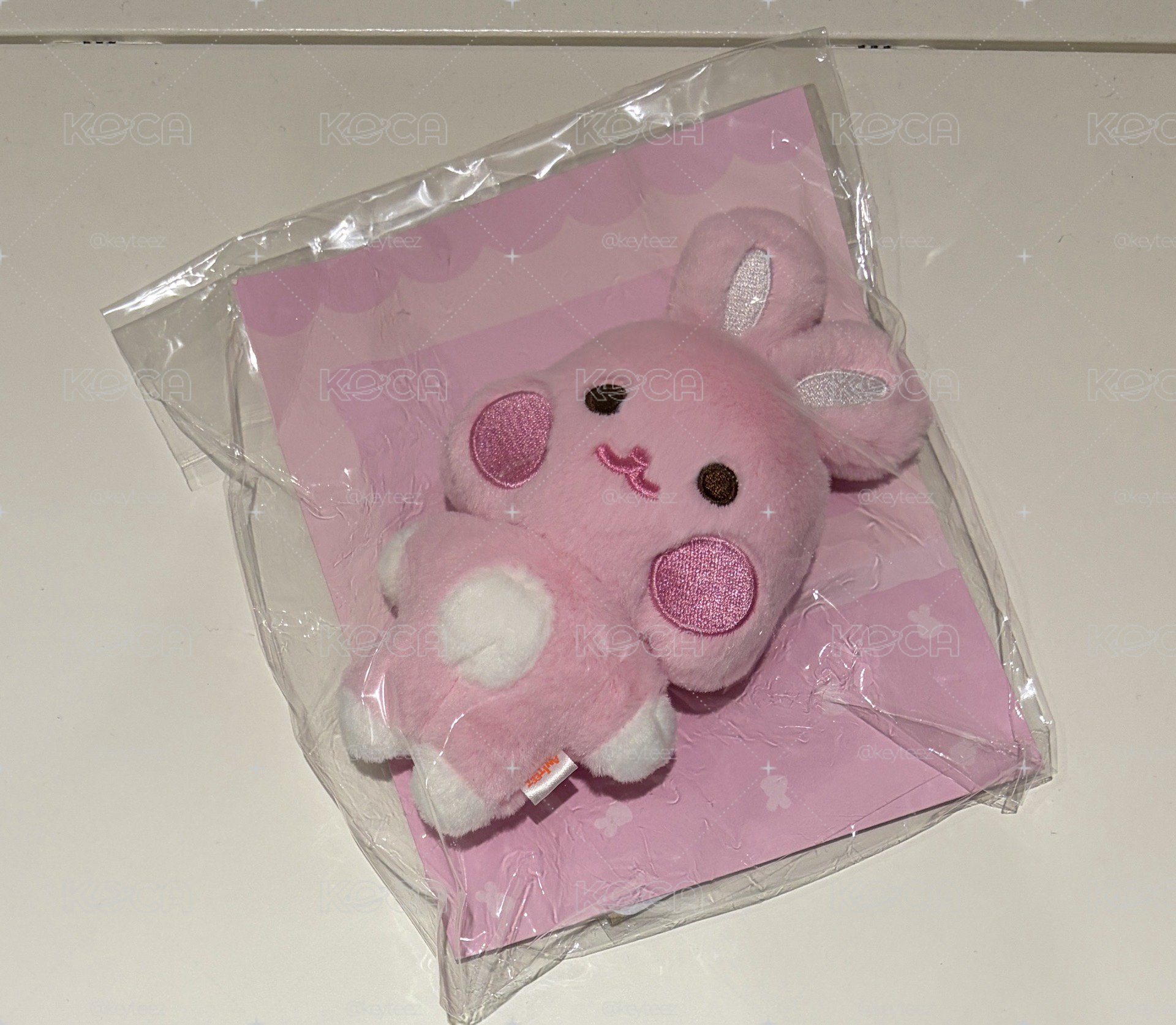 咚星豆豆眼 全新