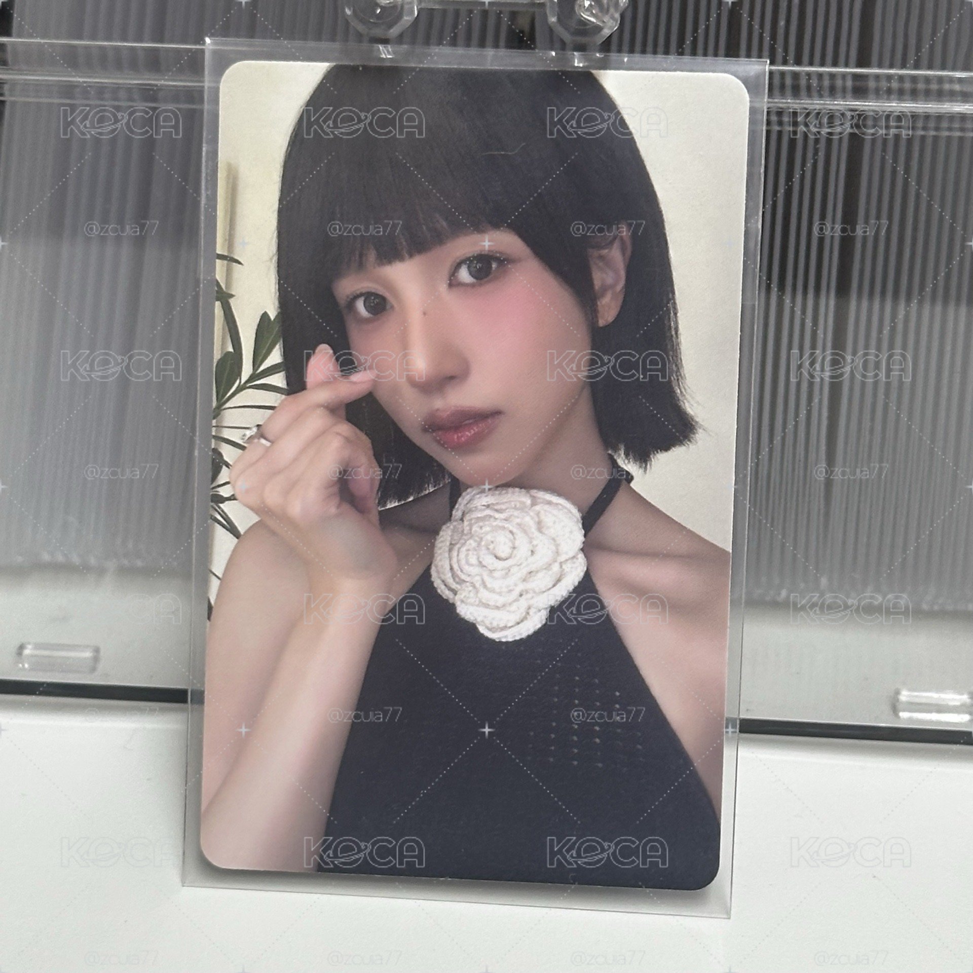 比心小咪🐧