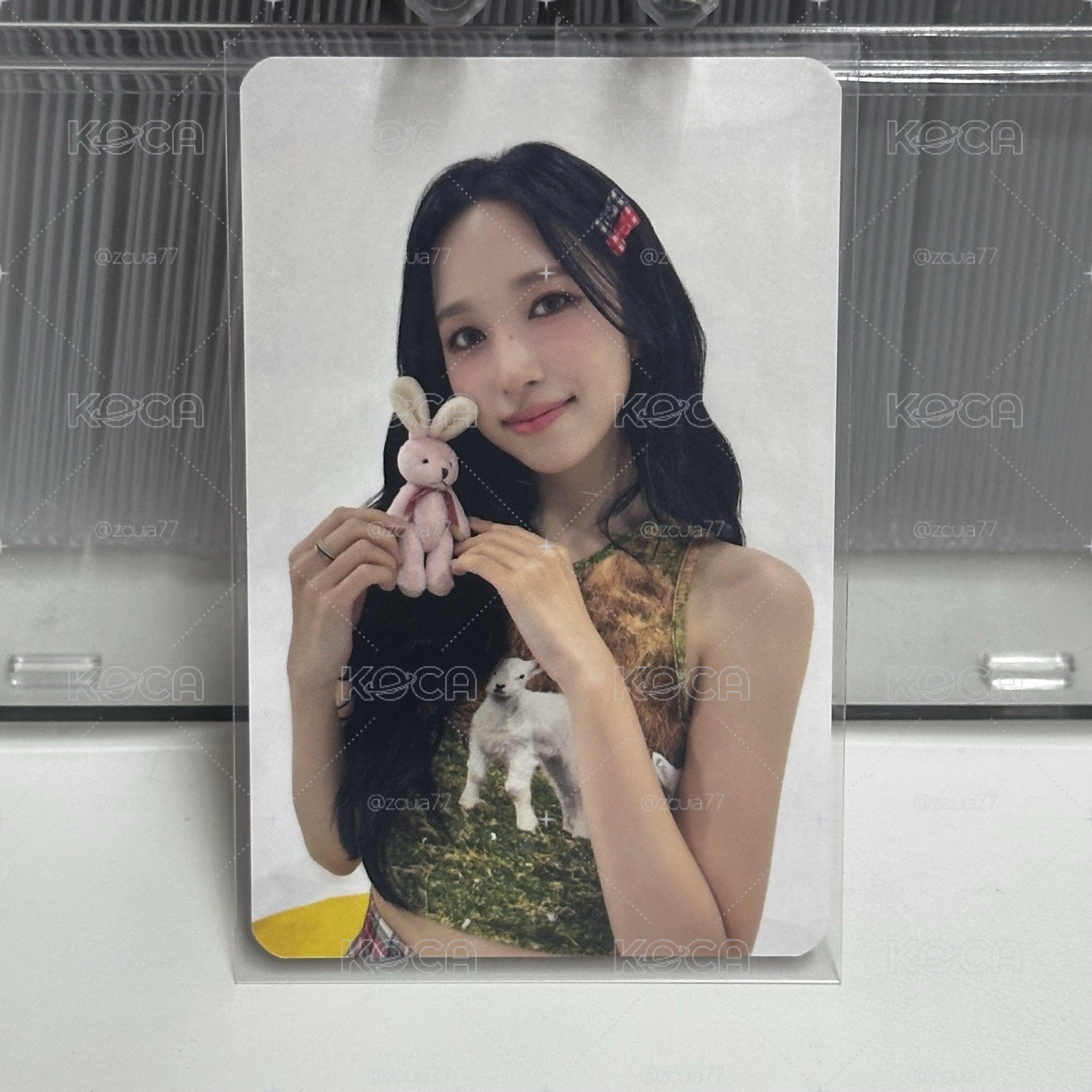 ms小咪🐧