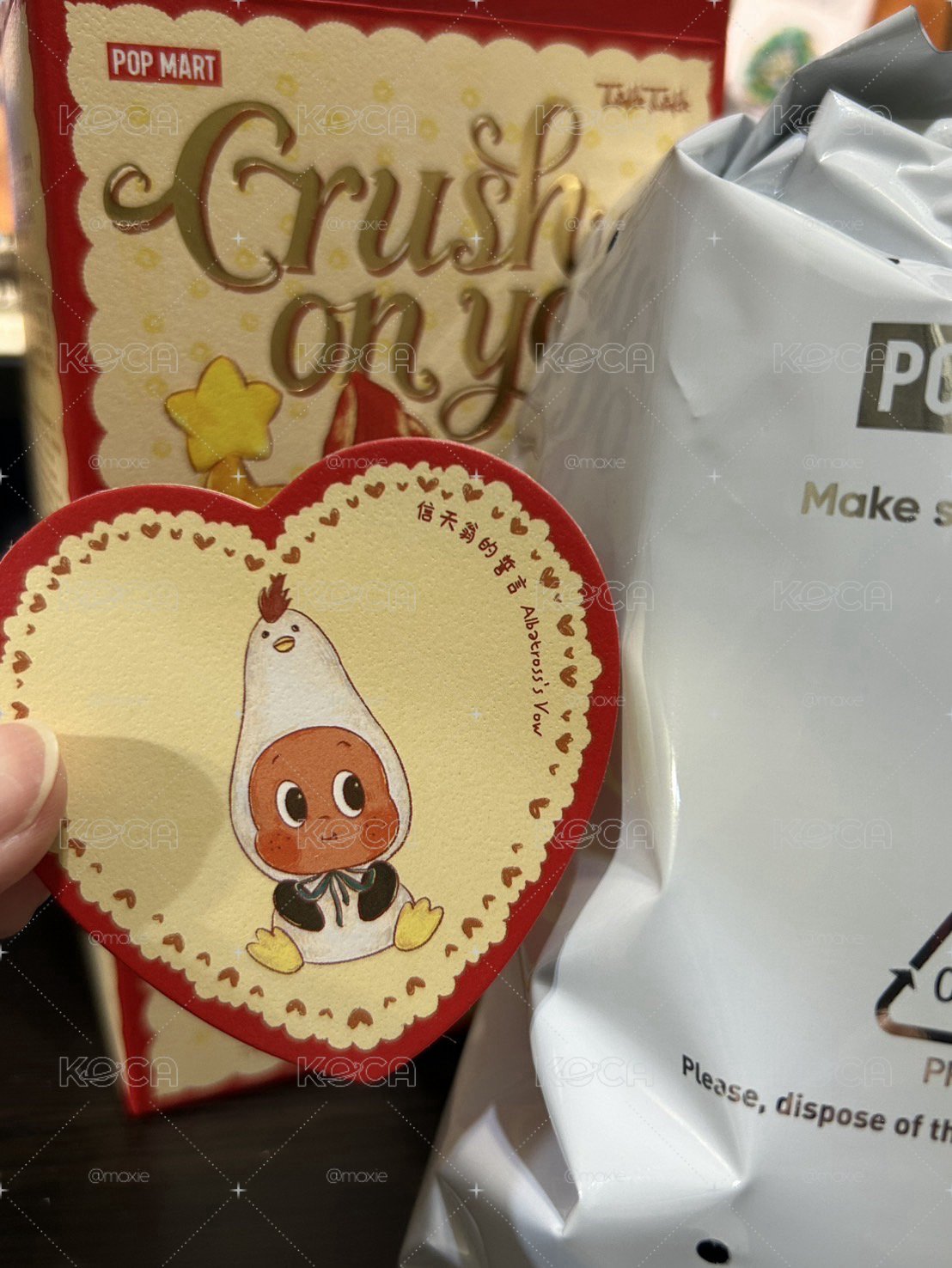 星星人 五代 信天翁的誓言