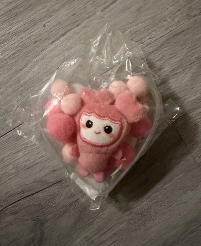 momo 六巡 新國立 工作坊娃