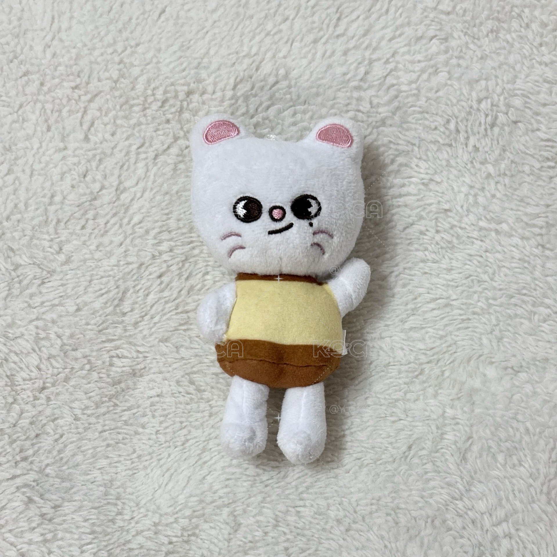 辰布丁娃