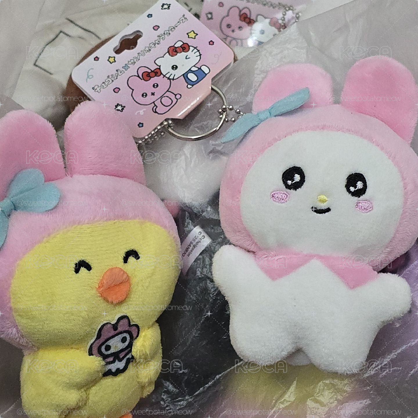 美樂蒂×崔高興