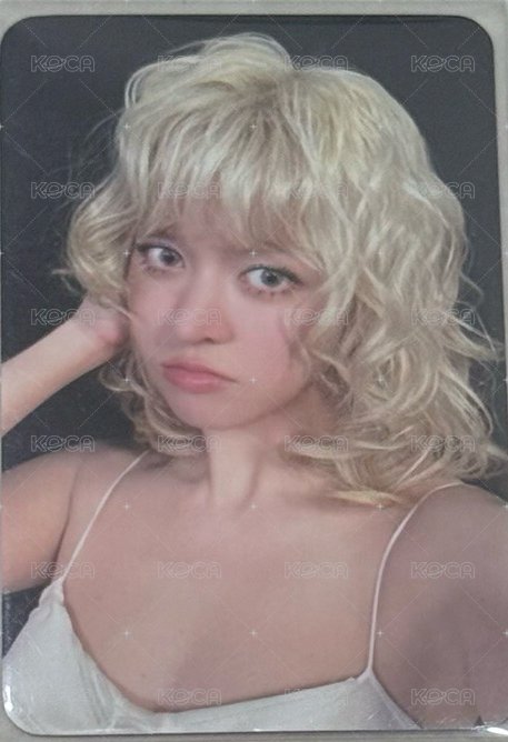 預售莉