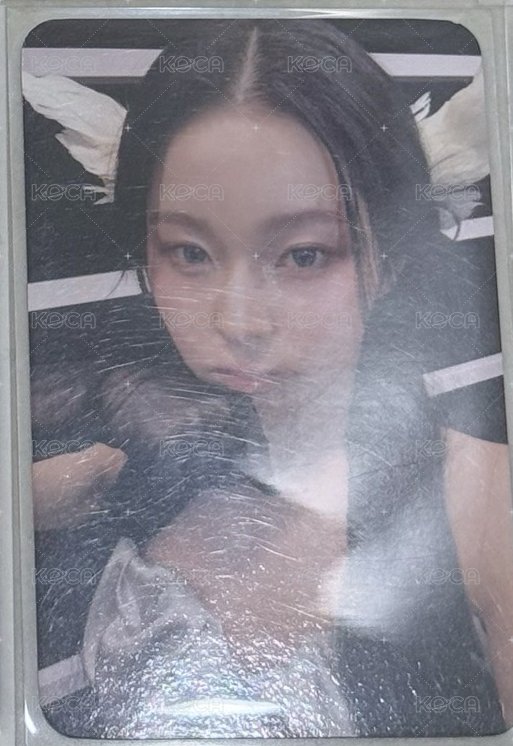 預售圭