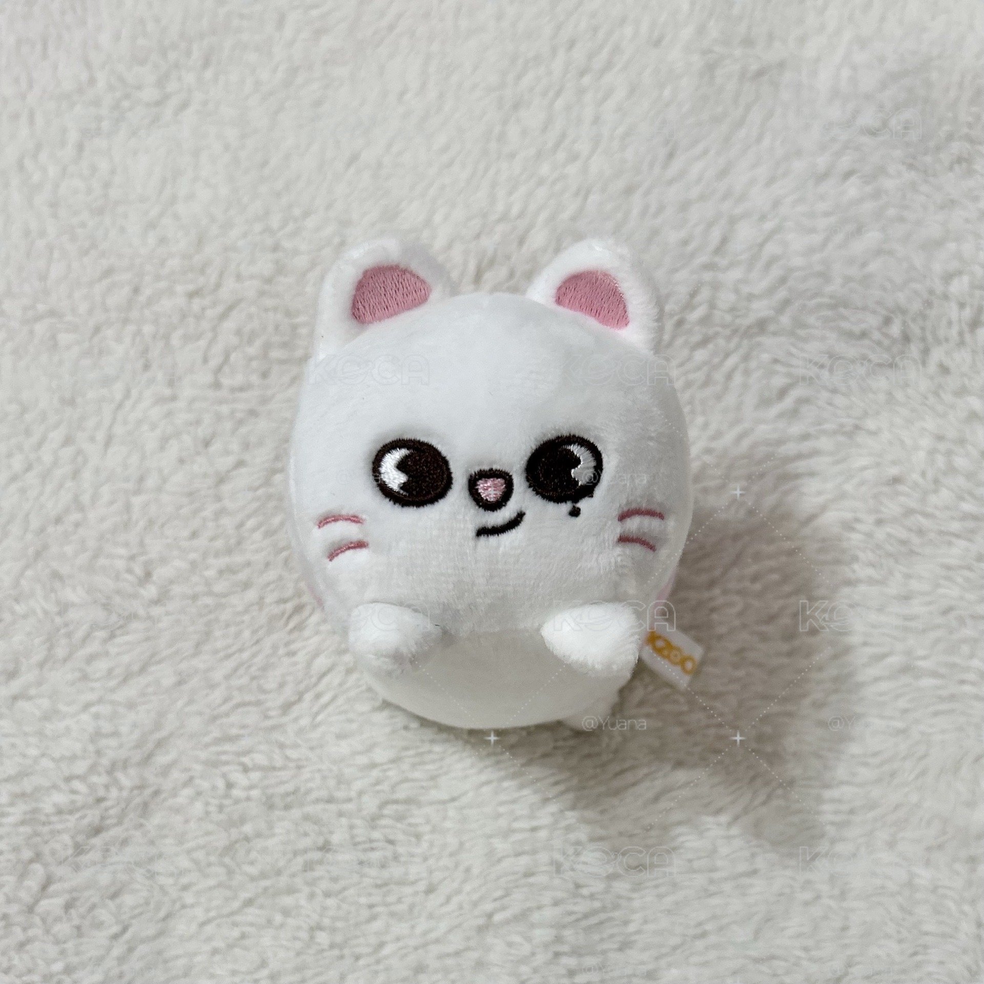 辰日周趴娃