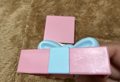 泡泡瑪特50週年盲盒公仔-布丁狗